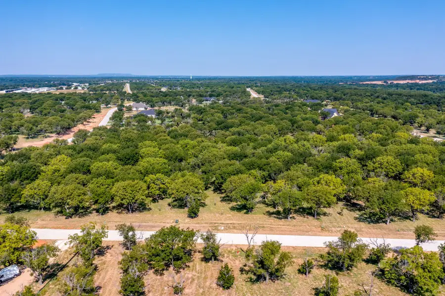 2525 Buckskin Drive, Granbury, TX 76049 - #3