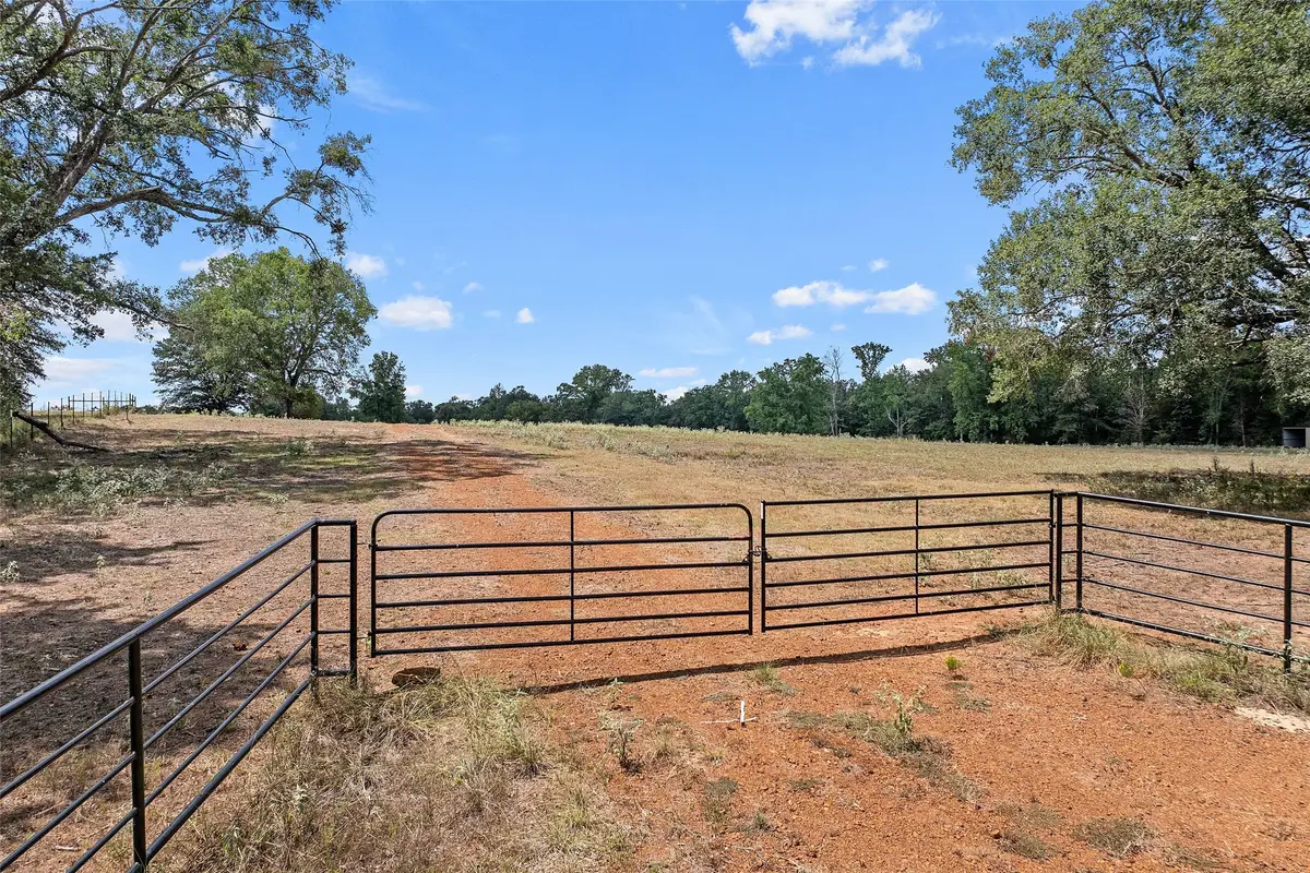 459 County Road 3303, Omaha, TX 75571 - #1