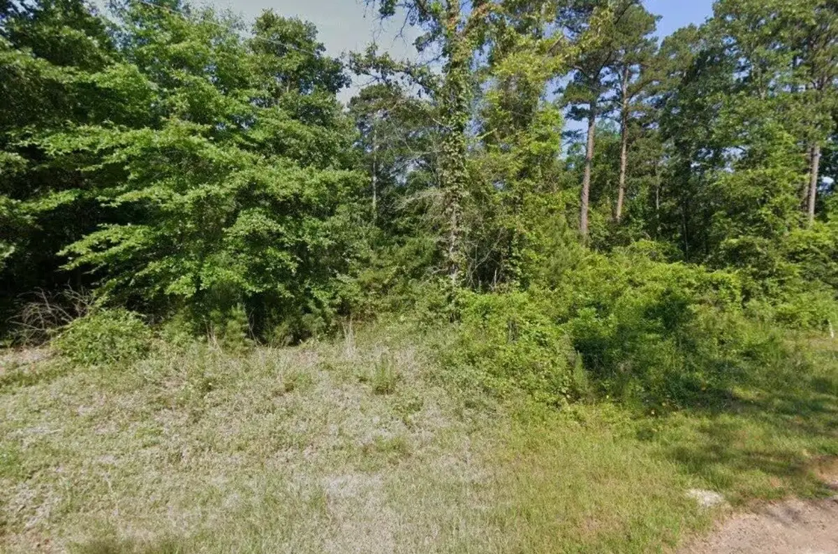 7142 Beaverwood, Gilmer, TX 75644 - #1