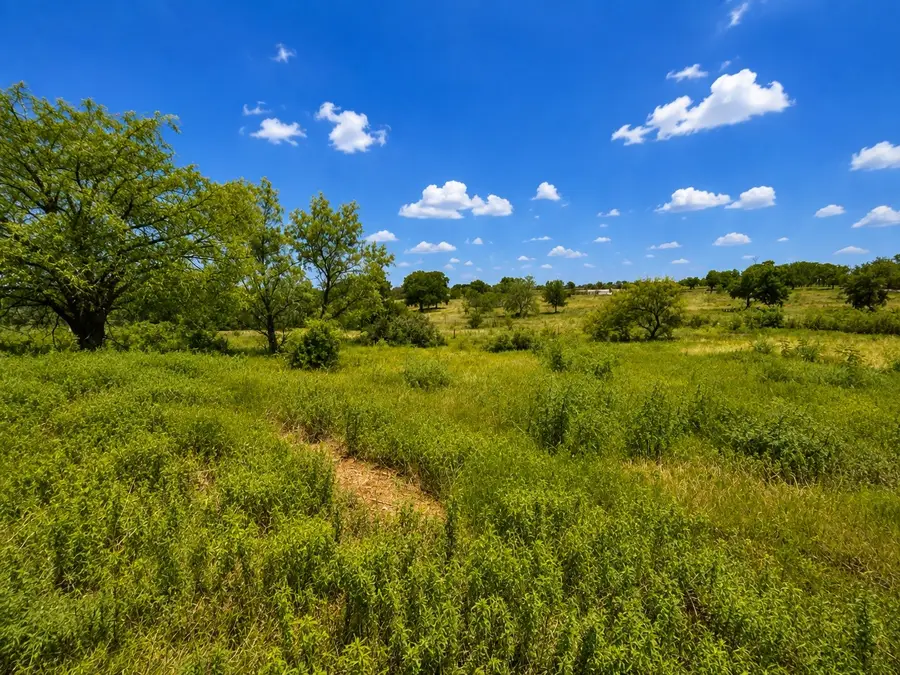 14197 County Road 4054, Kemp, TX 75143 - #3