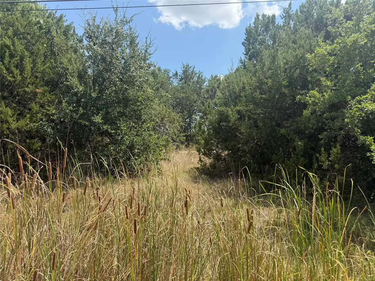 817 Pawnee Trail, Granbury, TX 76048 - #1