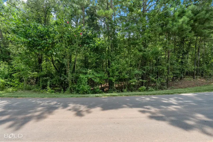 150 Oak Leaf Trail, Benton, LA 71006 - #2