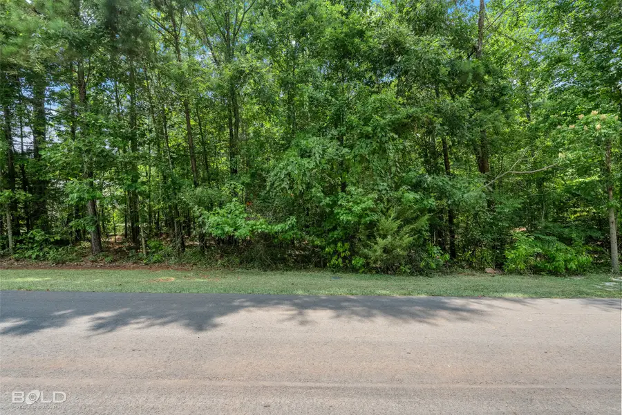 150 Oak Leaf Trail, Benton, LA 71006 - #3