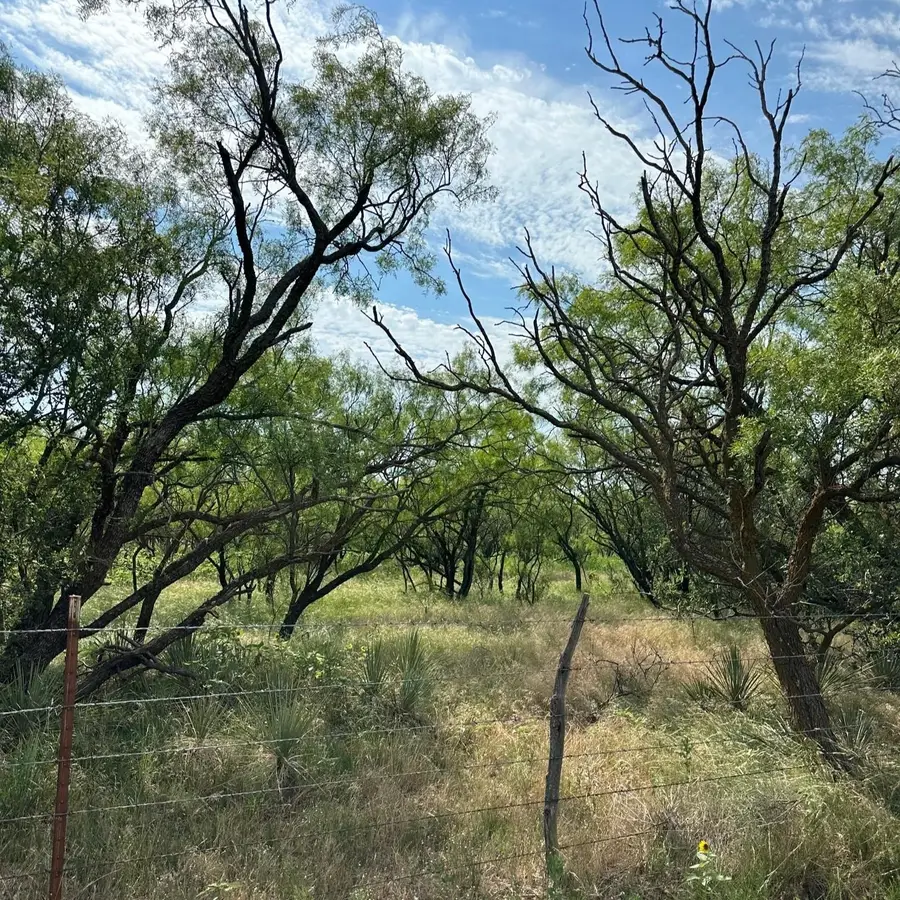 Tract 13 AC Cr 105, Abilene, TX 79601 - #3
