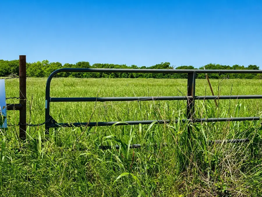 TBD Cr 3561, Sulphur Bluff, TX 75481 - #2
