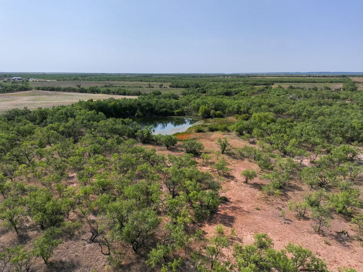 TBD 54.55 Ac Potosi Rd, Abilene, TX 79602 - #1