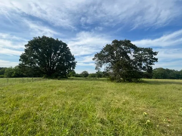 000 Cr 15580, Paris, TX 75462 - #1