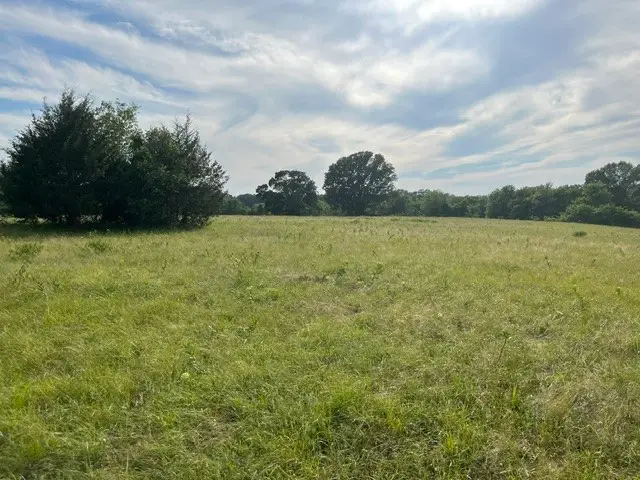 000 Cr 15580, Paris, TX 75462 - #2
