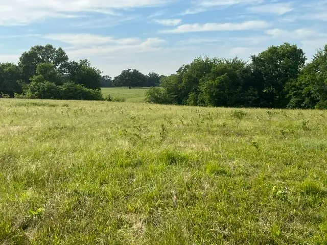 000 Cr 15580, Paris, TX 75462 - #3