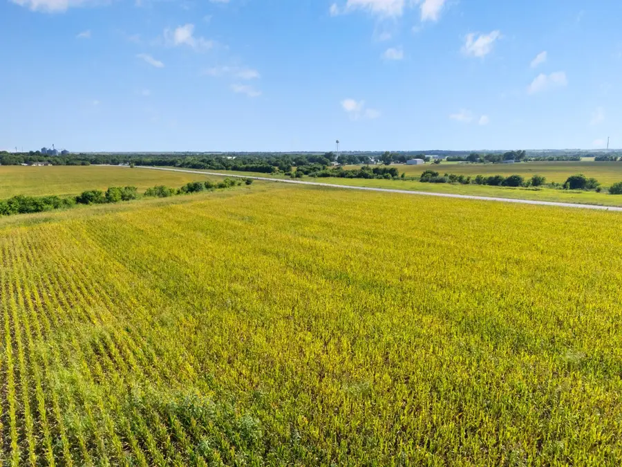 48.91.48 ac. TBD N County Line Parkway, Mart, TX 76664 - #2