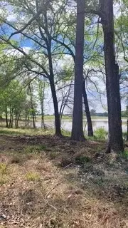 Lot 54 White Oak Creek Ranch, Big Sandy, TX 75755 - #2