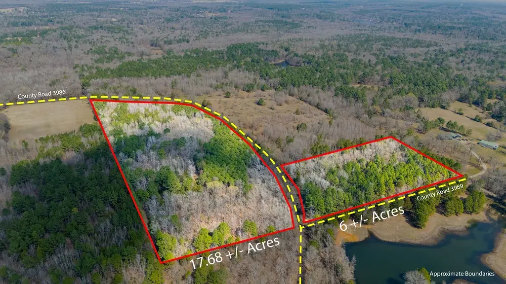 TBD County Road 3986, Winnsboro, TX 75494 - #1