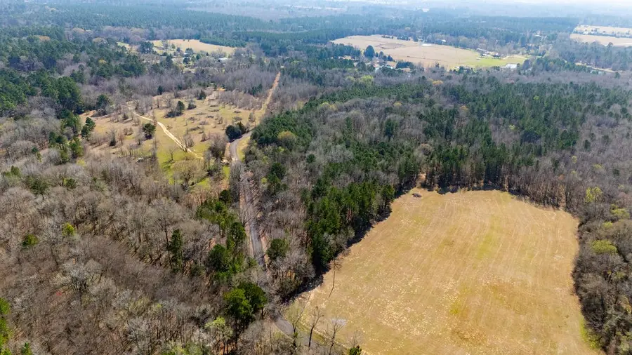 TBD County Road 3986, Winnsboro, TX 75494 - #3