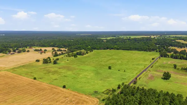 Lot 4 C R 3689, No City, TX 75755