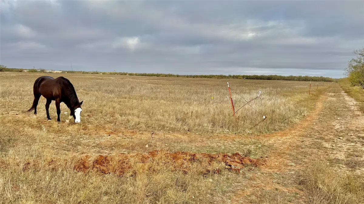 TBD Iberis Road, Abilene, TX 79606 - #1