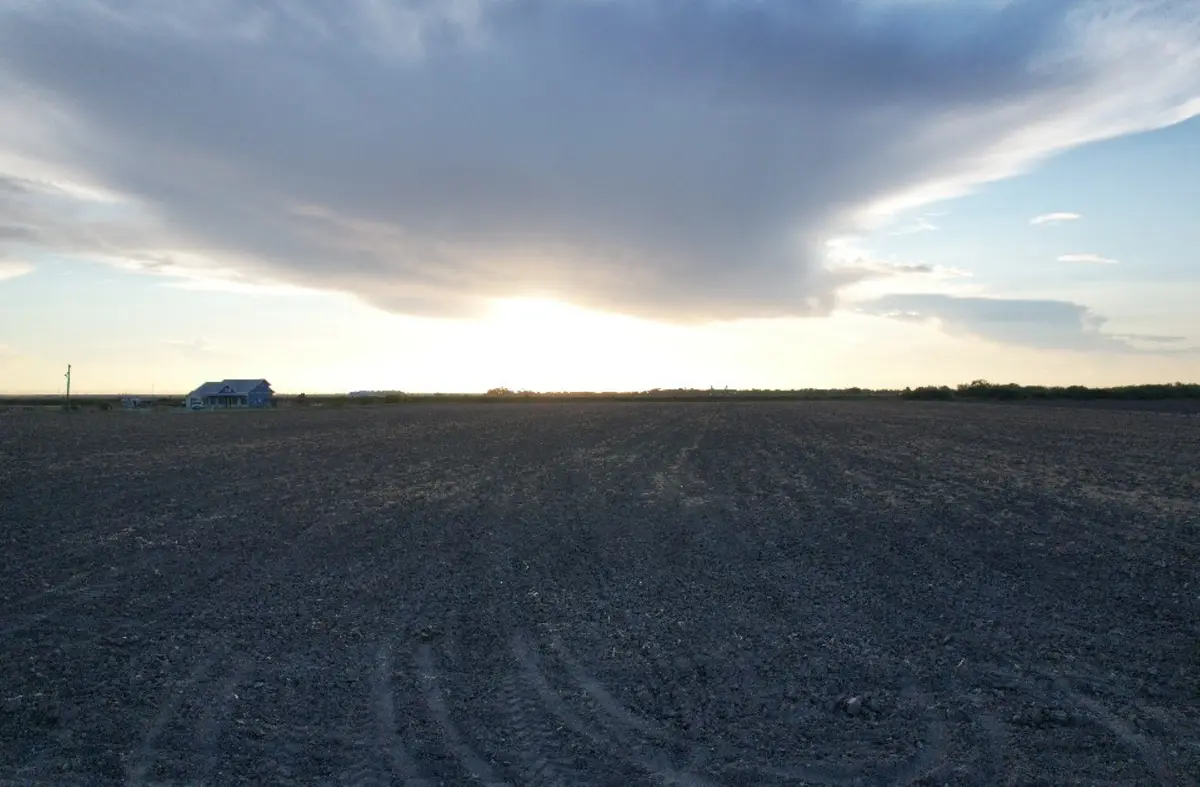 TBD-6 1 Mile East Rd, Mercedes, TX 78570 - #1