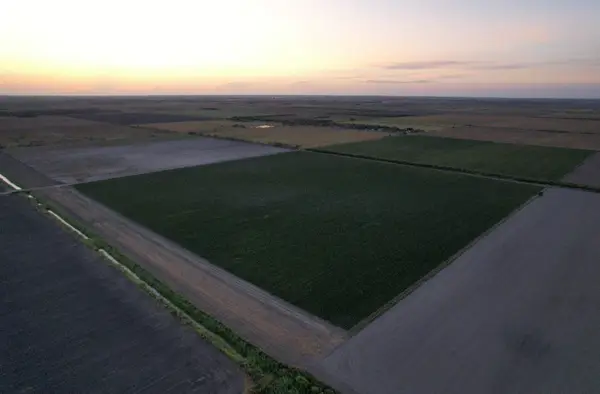 TBD-3 Mile 3 East Rd, La Feria, TX 78570