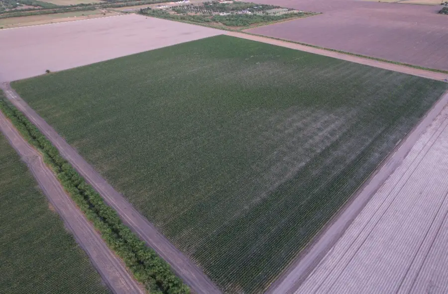 TBD-2 Mile 3 East Rd, Harlingen San Benito, TX 78570 - #2