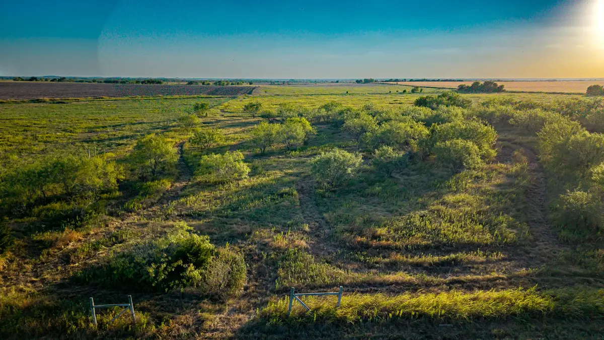 0000 Fm 984, Avalon, TX 76623 - #1