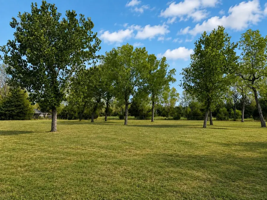 TBD Sunrise Court, Palmer, TX 75152 - #2