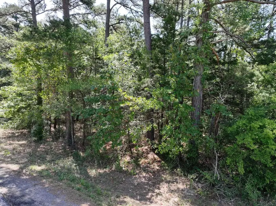 0 State Highway 154 W, Big Sandy, TX 75755 - #2