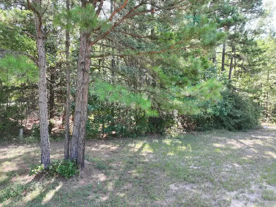 0 State Highway 154 W, Big Sandy, TX 75755 - #3