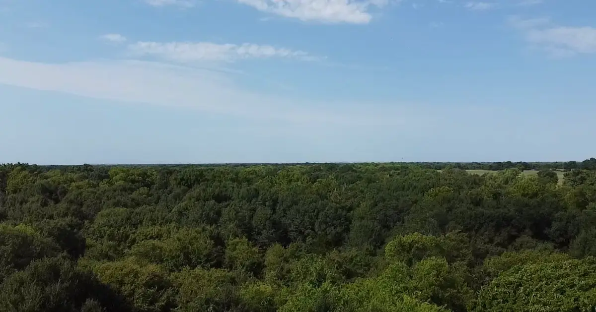 TBD County Road 314, Terrell, TX 75161 - #1