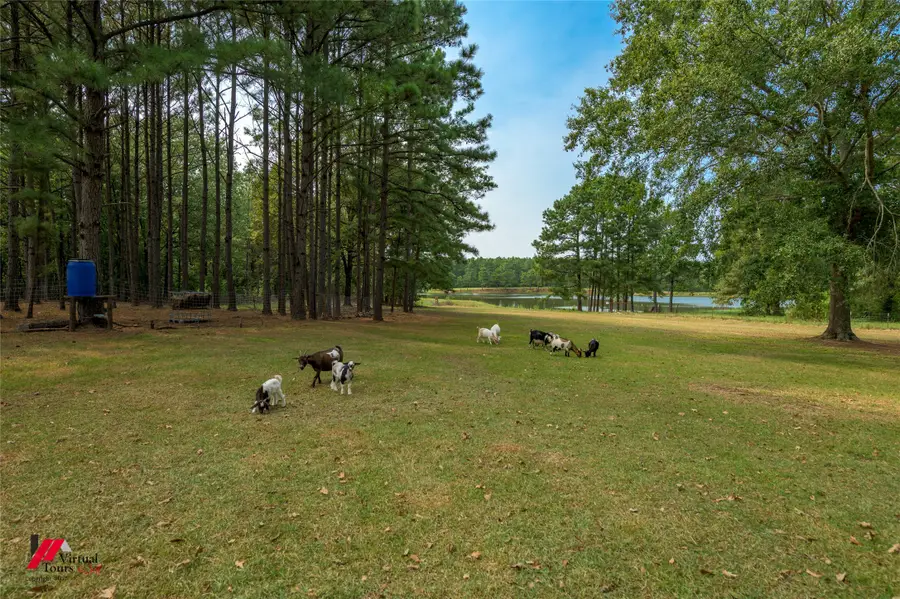 746 Wise Road, Shongaloo, LA 71072 - #3