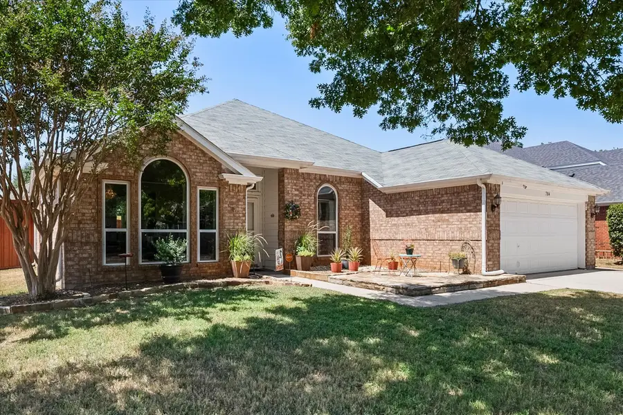 704 Oakridge Drive, Lake Dallas, TX 75065 - #2