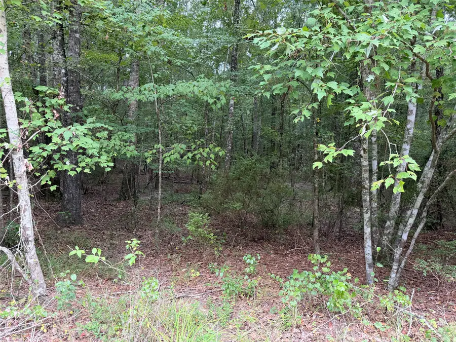 0003 Airline Road, Dubach, LA 71235 - #2