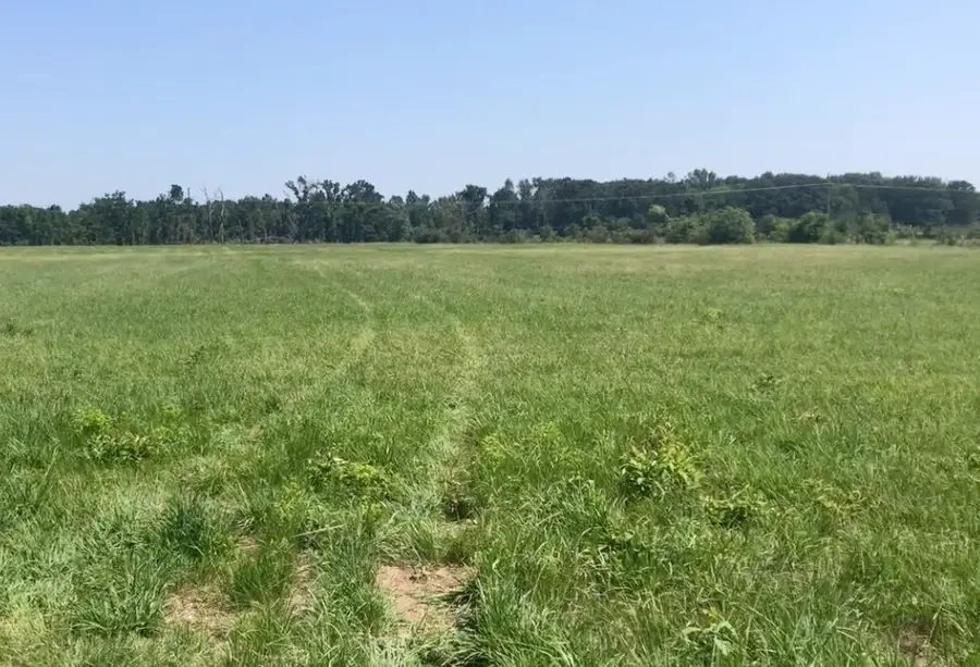 560 W Fm-71, Mount Pleasant, TX 75455 - #3