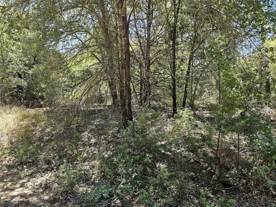 3.151 Acres Love Road, Kosse, TX 76653 - #3