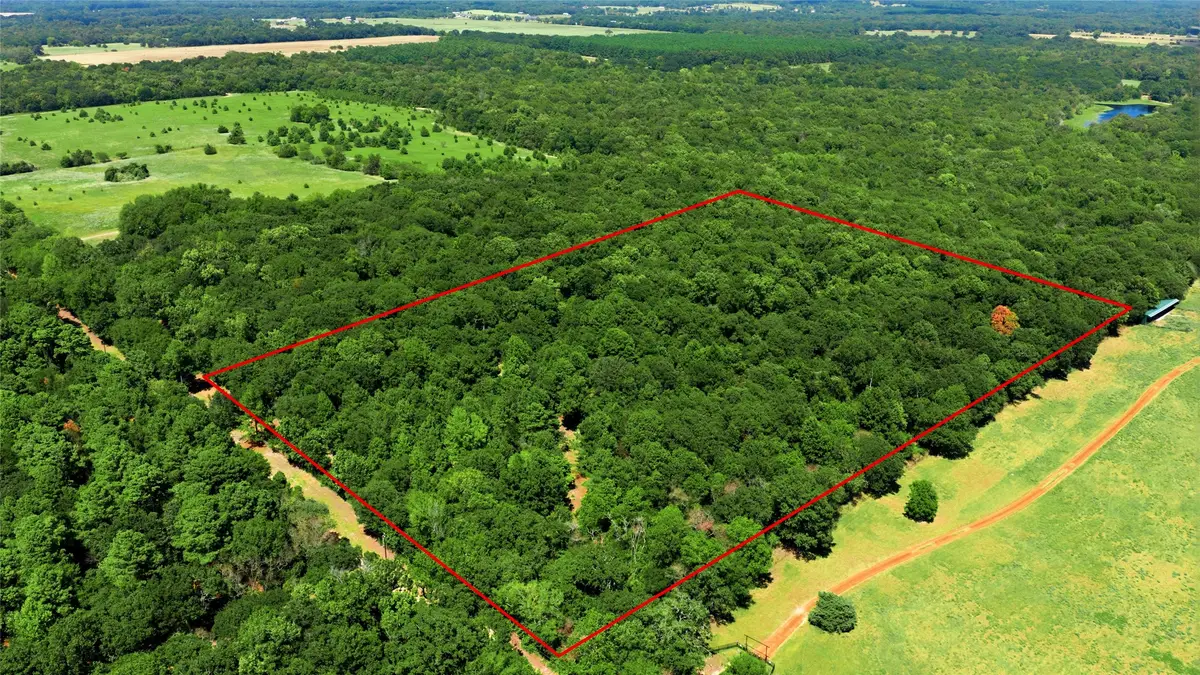 TBD Cr 3613, Chandler Brownsboro, TX 75758 - #1