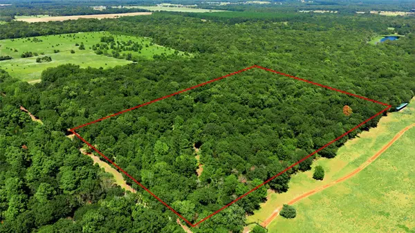 TBD Cr 3613, Murchison, TX 75758