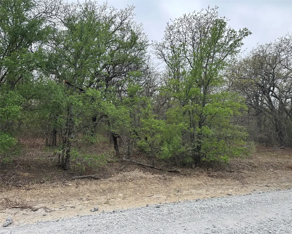 TBD Martins Lane, Runaway Bay, TX 76426 - #1