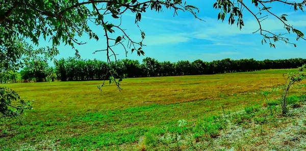 18891 Fm Road 548, Terrell, TX 75160