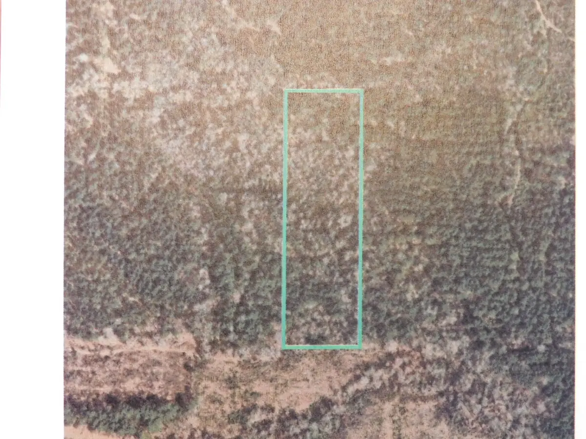 0 Youngblood Road, Athens, LA 71003 - #1