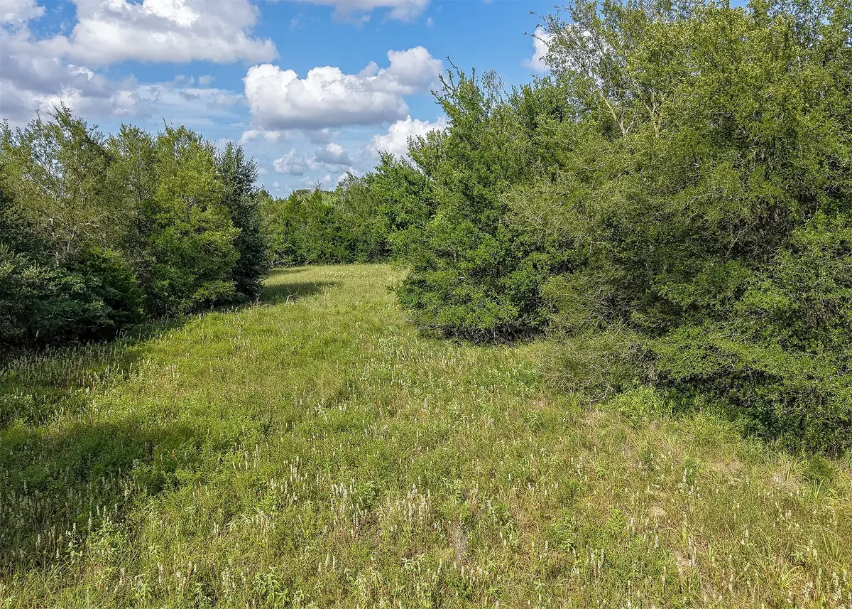 1210 County Road 302, Rockdale, TX 76567 - #1