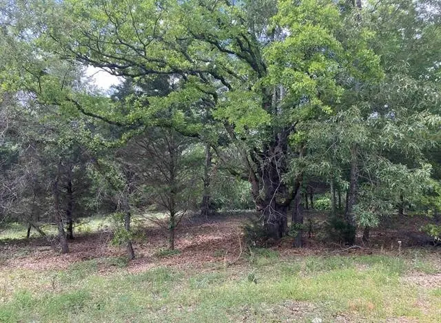 2433 Wellington Trace, Tyler, TX 75709 - #3