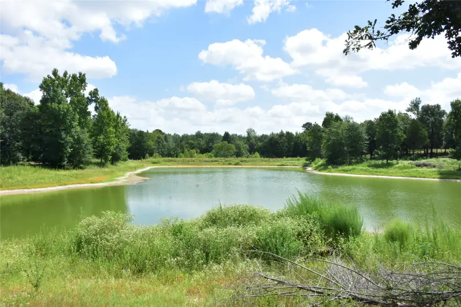 961 County Road 484, Palestine, TX 75803 - #2
