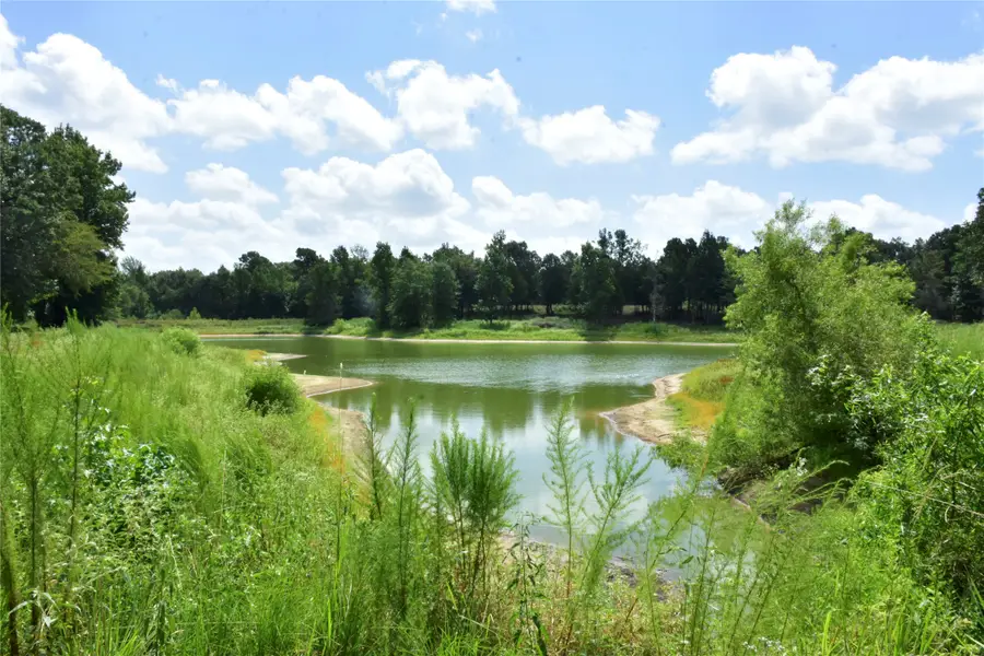961 County Road 484, Palestine, TX 75803 - #3