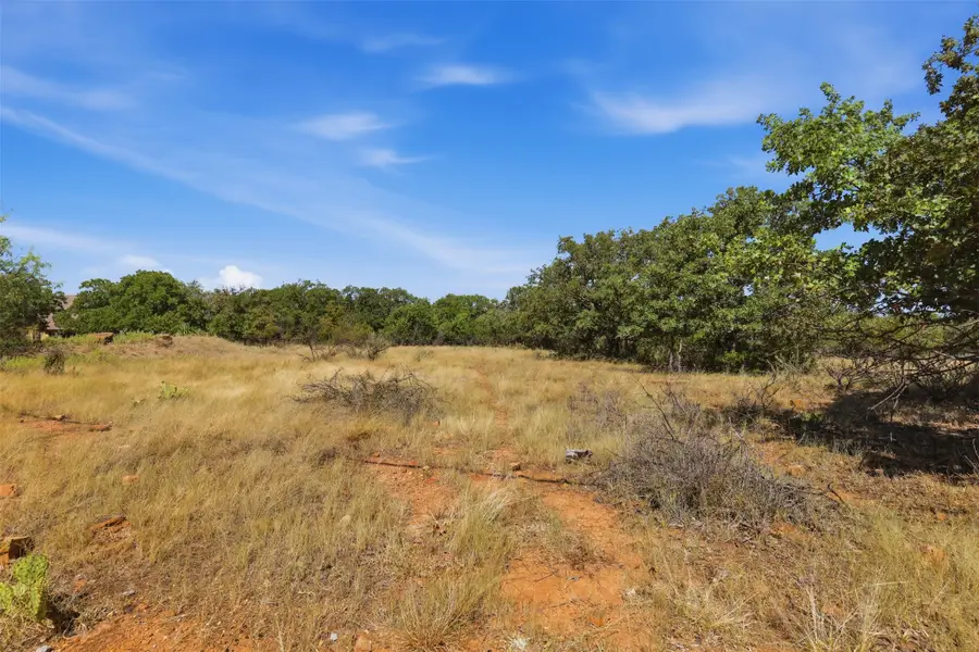 E23 Arts Way, Gordon, TX 76453 - #3