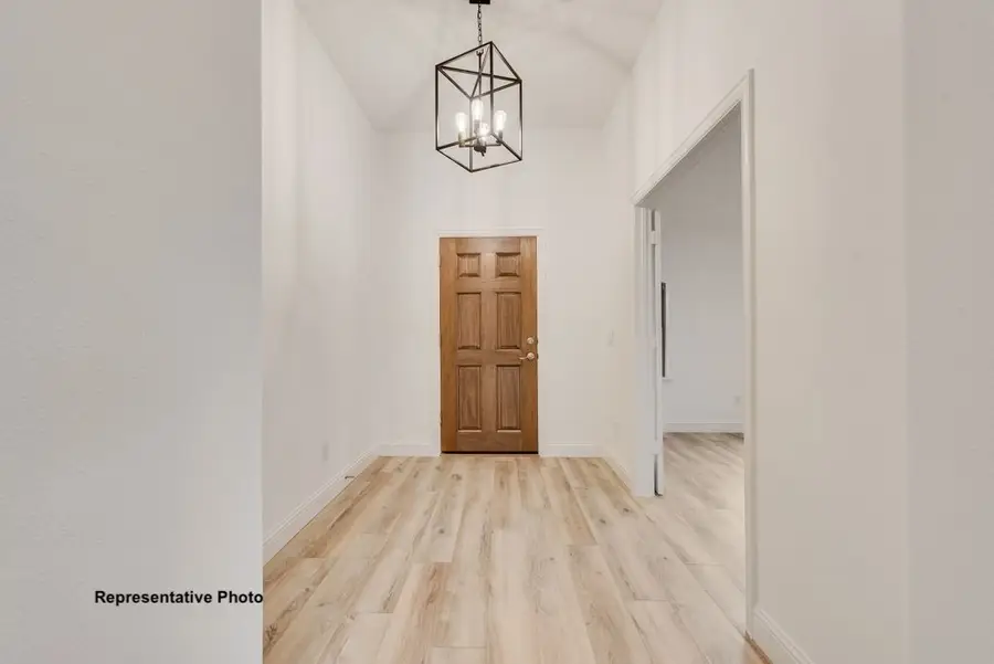 309 Skeen Peak Drive, Springtown, TX 76082 - #2