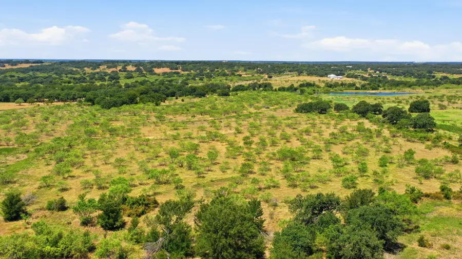 260 Cr 366 #Tract 8, Gorman, TX 76454 - #3