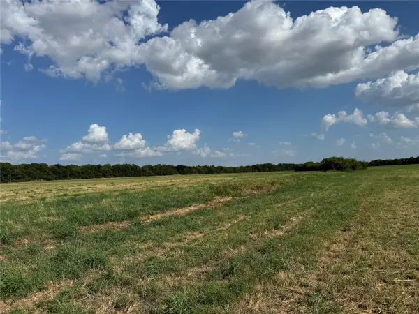 Tract 8, 13.103 Acres County Rd 3700, Leonard, TX 75452