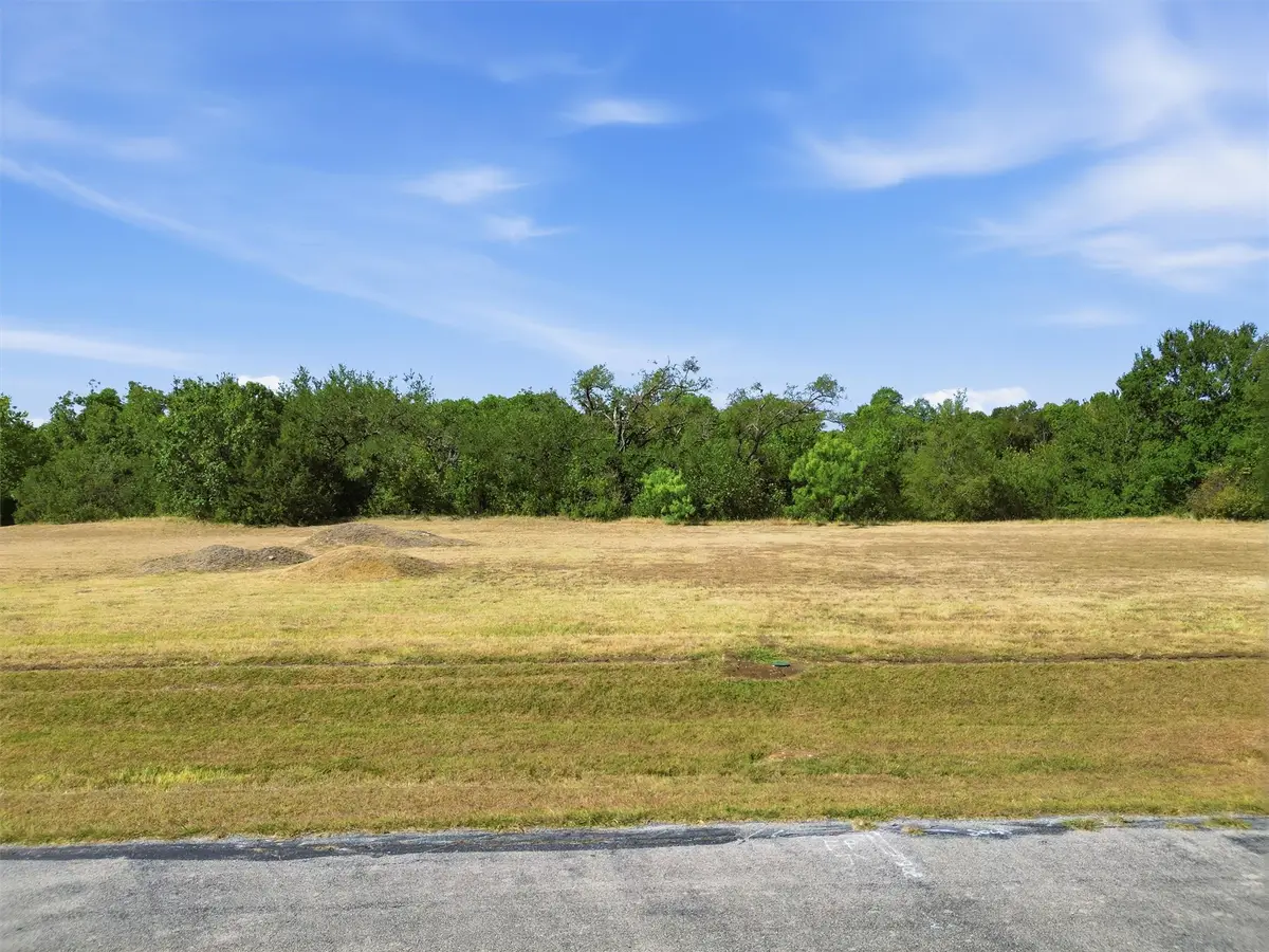 126 Constellation Drive, Cresson, TX 76035 - #1
