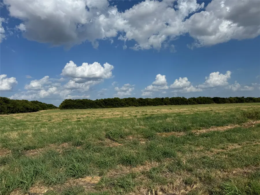 Tract 10, 23.568 Acres County Rd 3700, Leonard, TX 75452 - #3