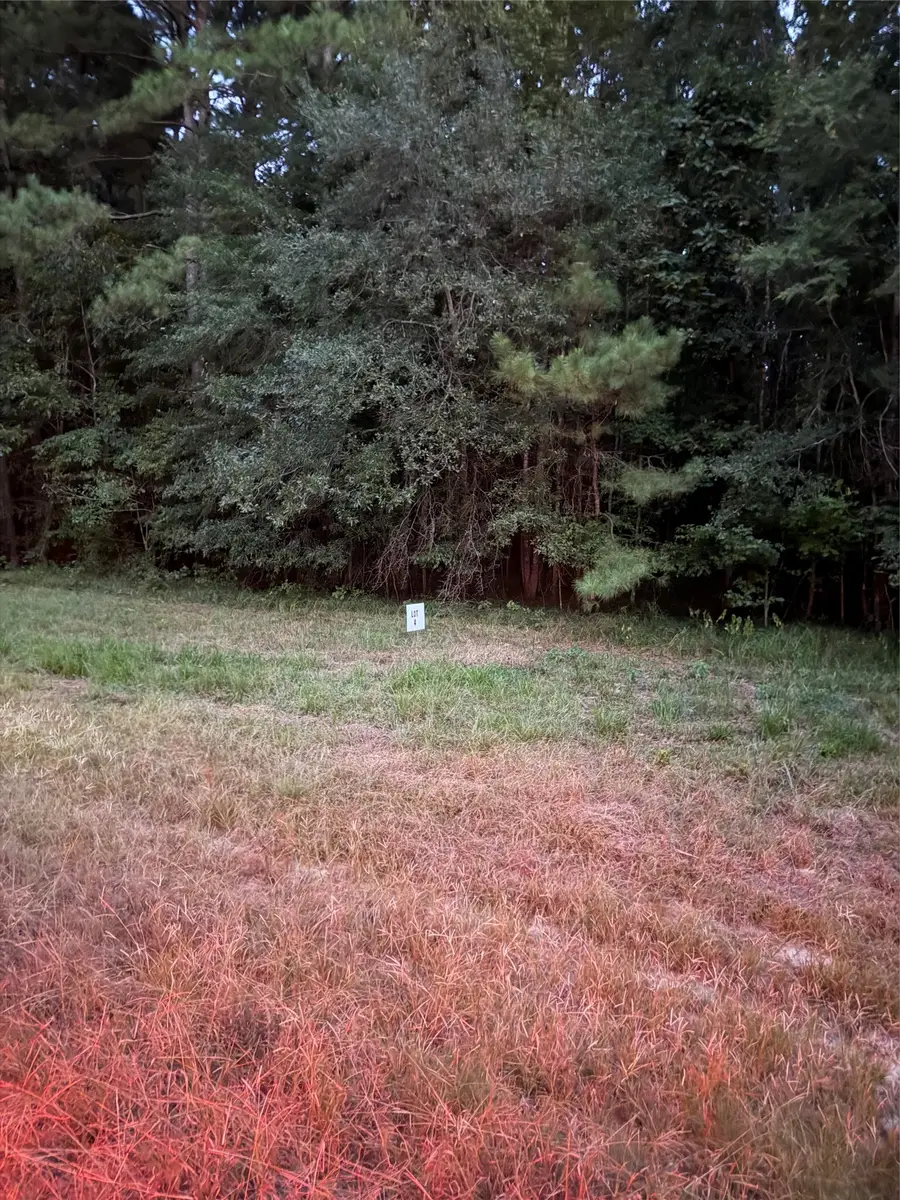 0004 Airline Road, Dubach, LA 71235 - #2