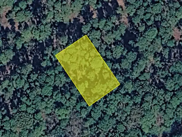 0 Brazos Street, Scroggins, TX 75480