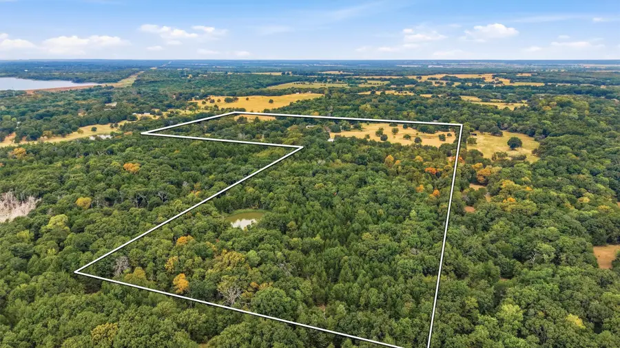 2449 County Road 1215, Savoy, TX 75479 - #3